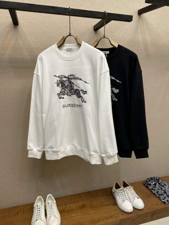 Picture of Burberry Sweatshirt _SKUBurberryS-2XLtltx28131037